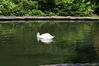 Filename=20080701_036.jpg
Filesize=195KiB
Dimensions=1023x684
Date added=Nov 01, 2008 20080701_036.jpg