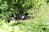 Filename=20080701_044.jpg
Filesize=284KiB
Dimensions=1023x684
Date added=Nov 01, 2008 20080701_044.jpg