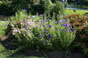 Filename=20080701_079.jpg
Filesize=308KiB
Dimensions=1023x684
Date added=Nov 01, 2008 20080701_079.jpg