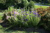 Filename=20080701_080.jpg
Filesize=312KiB
Dimensions=1023x684
Date added=Nov 01, 2008 20080701_080.jpg