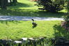 Filename=20080701_090.jpg
Filesize=266KiB
Dimensions=1023x684
Date added=Nov 01, 2008 20080701_090.jpg
