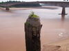 Filename=20080704_003.jpg
Filesize=113KiB
Dimensions=1024x768
Date added=Nov 01, 2008 20080704_003.jpg