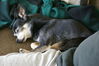 Filename=20080726_001.jpg
Filesize=180KiB
Dimensions=1023x684
Date added=Nov 01, 2008 20080726_001.jpg