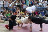 Filename=20080815_047.jpg
Filesize=189KiB
Dimensions=1023x684
Date added=Nov 02, 2008 20080815_047.jpg