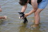 Filename=20080817_041.jpg
Filesize=165KiB
Dimensions=1023x684
Date added=Nov 02, 2008 20080817_041.jpg