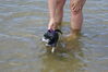 Filename=20080817_042.jpg
Filesize=149KiB
Dimensions=1023x684
Date added=Nov 02, 2008 20080817_042.jpg