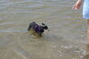 Filename=20080817_043.jpg
Filesize=146KiB
Dimensions=1023x684
Date added=Nov 02, 2008 20080817_043.jpg