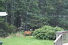 Filename=20080819_001.jpg
Filesize=230KiB
Dimensions=1023x684
Date added=Nov 02, 2008 20080819_001.jpg