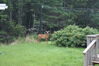Filename=20080819_002.jpg
Filesize=218KiB
Dimensions=1023x684
Date added=Nov 02, 2008 20080819_002.jpg