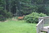 Filename=20080819_003.jpg
Filesize=221KiB
Dimensions=1023x684
Date added=Nov 02, 2008 20080819_003.jpg