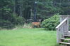 Filename=20080819_004.jpg
Filesize=224KiB
Dimensions=1023x684
Date added=Nov 02, 2008 20080819_004.jpg