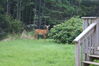Filename=20080819_005.jpg
Filesize=219KiB
Dimensions=1023x684
Date added=Nov 02, 2008 20080819_005.jpg