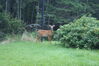 Filename=20080819_006.jpg
Filesize=235KiB
Dimensions=1023x684
Date added=Nov 02, 2008 20080819_006.jpg
