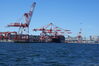 Filename=20080824_002.jpg
Filesize=170KiB
Dimensions=1023x684
Date added=Nov 02, 2008 20080824_002.jpg