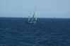 Filename=20080824_011.jpg
Filesize=114KiB
Dimensions=1023x684
Date added=Nov 02, 2008 20080824_011.jpg