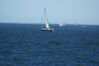Filename=20080824_014.jpg
Filesize=118KiB
Dimensions=1023x684
Date added=Nov 02, 2008 20080824_014.jpg