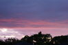 Filename=20080827_001.jpg
Filesize=115KiB
Dimensions=1023x684
Date added=Nov 02, 2008 20080827_001.jpg