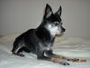 Filename=20081001_001.jpg
Filesize=137KiB
Dimensions=1024x768
Date added=Nov 03, 2008 20081001_001.jpg