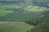 Filename=20081002_003.jpg
Filesize=159KiB
Dimensions=1023x684
Date added=Nov 03, 2008 20081002_003.jpg