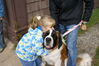 Filename=20081004_023.jpg
Filesize=200KiB
Dimensions=1023x684
Date added=Nov 03, 2008 20081004_023.jpg