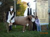 Filename=20081004_079.jpg
Filesize=229KiB
Dimensions=1024x768
Date added=Nov 03, 2008 20081004_079.jpg