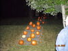Filename=20081004_104.jpg
Filesize=203KiB
Dimensions=1024x768
Date added=Nov 03, 2008 20081004_104.jpg