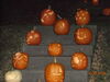 Filename=20081004_105.jpg
Filesize=174KiB
Dimensions=1024x768
Date added=Nov 03, 2008 20081004_105.jpg