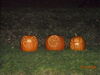Filename=20081004_106.jpg
Filesize=176KiB
Dimensions=1024x768
Date added=Nov 03, 2008 20081004_106.jpg