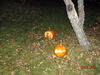 Filename=20081004_107.jpg
Filesize=214KiB
Dimensions=1024x768
Date added=Nov 03, 2008 20081004_107.jpg