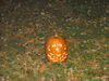 Filename=20081004_108.jpg
Filesize=236KiB
Dimensions=1024x768
Date added=Nov 03, 2008 20081004_108.jpg
