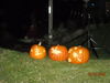Filename=20081004_110.jpg
Filesize=152KiB
Dimensions=1024x768
Date added=Nov 03, 2008 20081004_110.jpg