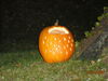 Filename=20081004_113.jpg
Filesize=189KiB
Dimensions=1024x768
Date added=Nov 03, 2008 20081004_113.jpg