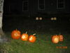 Filename=20081004_114.jpg
Filesize=180KiB
Dimensions=1024x768
Date added=Nov 03, 2008 20081004_114.jpg