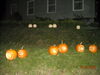 Filename=20081004_115.jpg
Filesize=180KiB
Dimensions=1024x768
Date added=Nov 03, 2008 20081004_115.jpg