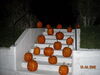 Filename=20081004_117.jpg
Filesize=167KiB
Dimensions=1024x768
Date added=Nov 03, 2008 20081004_117.jpg