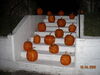 Filename=20081004_118.jpg
Filesize=168KiB
Dimensions=1024x768
Date added=Nov 03, 2008 20081004_118.jpg