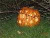 Filename=20081004_119.jpg
Filesize=227KiB
Dimensions=1024x768
Date added=Nov 03, 2008 20081004_119.jpg