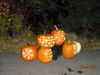 Filename=20081004_120.jpg
Filesize=170KiB
Dimensions=1024x768
Date added=Nov 03, 2008 20081004_120.jpg