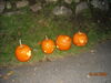 Filename=20081004_122.jpg
Filesize=259KiB
Dimensions=1024x768
Date added=Nov 03, 2008 20081004_122.jpg