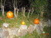 Filename=20081004_125.jpg
Filesize=317KiB
Dimensions=1024x768
Date added=Nov 03, 2008 20081004_125.jpg