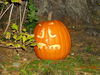 Filename=20081004_128.jpg
Filesize=293KiB
Dimensions=1024x768
Date added=Nov 03, 2008 20081004_128.jpg
