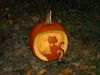 Filename=20081004_131.jpg
Filesize=208KiB
Dimensions=1024x768
Date added=Nov 03, 2008 20081004_131.jpg