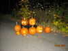 Filename=20081004_135.jpg
Filesize=256KiB
Dimensions=1024x768
Date added=Nov 03, 2008 20081004_135.jpg