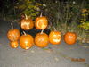 Filename=20081004_136.jpg
Filesize=216KiB
Dimensions=1024x768
Date added=Nov 03, 2008 20081004_136.jpg