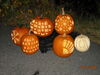 Filename=20081004_137.jpg
Filesize=180KiB
Dimensions=1024x768
Date added=Nov 03, 2008 20081004_137.jpg