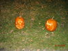 Filename=20081004_140.jpg
Filesize=310KiB
Dimensions=1024x768
Date added=Nov 03, 2008 20081004_140.jpg