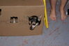 Filename=20081007_002.jpg
Filesize=153KiB
Dimensions=1023x684
Date added=Nov 03, 2008 20081007_002.jpg