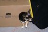 Filename=20081007_004.jpg
Filesize=141KiB
Dimensions=1023x684
Date added=Nov 03, 2008 20081007_004.jpg