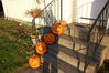 Filename=20081030_001.jpg
Filesize=233KiB
Dimensions=1023x684
Date added=Nov 03, 2008 20081030_001.jpg