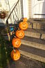 Filename=20081030_002.jpg
Filesize=213KiB
Dimensions=684x1023
Date added=Nov 03, 2008 20081030_002.jpg